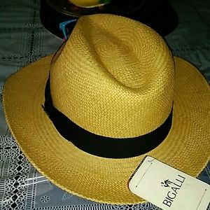 Classic Panama Beige